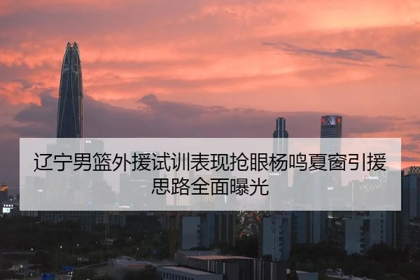辽宁男篮外援试训表现抢眼杨鸣夏窗引援思路全面曝光