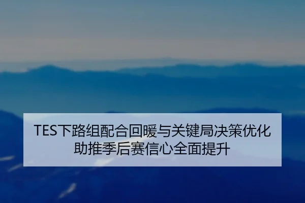 TES下路组配合回暖与关键局决策优化助推季后赛信心全面提升